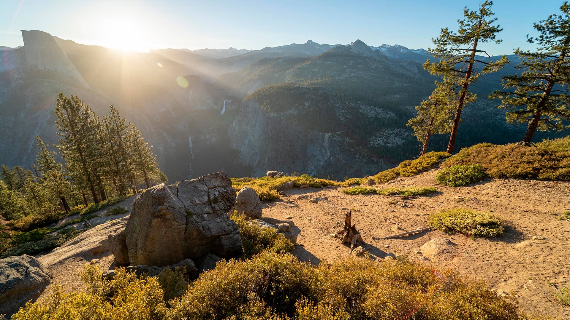 trabajos-forestales-tala-poda trabajos-forestales-tala-poda