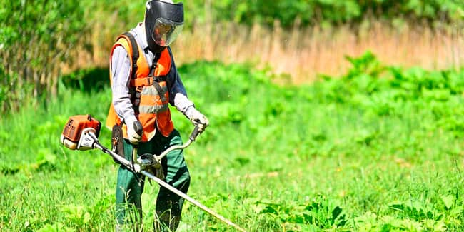 limpieza-y-desbroce-de-parcelas-min limpieza-y-desbroce-de-parcelas-min